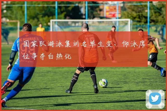 国家队游泳集训名单生变，仰泳席位争夺白热化