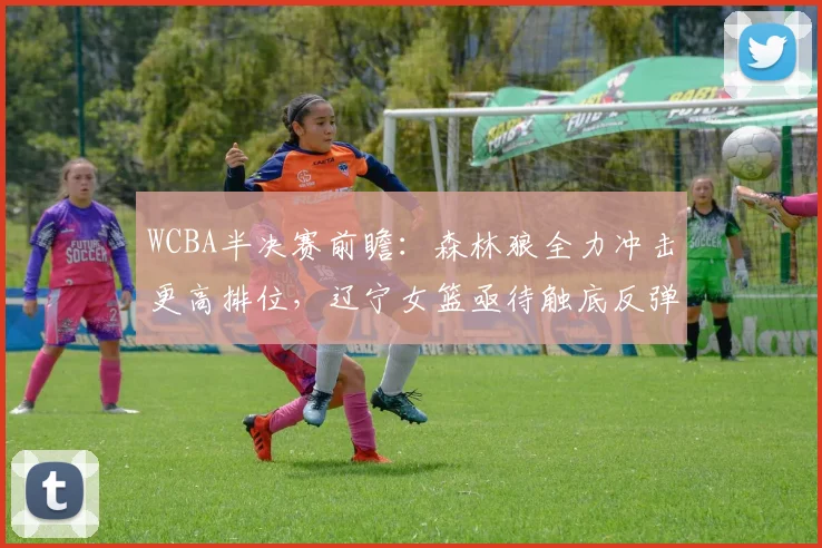 WCBA半决赛前瞻：森林狼全力冲击更高排位，辽宁女篮亟待触底反弹